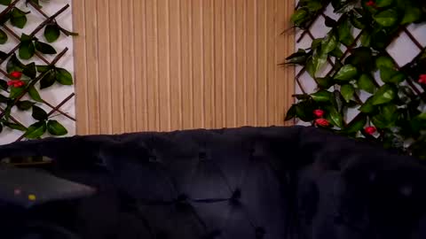 Haylie online show from 12-22-24, 02:38