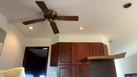 heatwavee online show from 11-04-25, 12:59