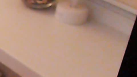 Heaven girl online show from 12-05-24, 11:29