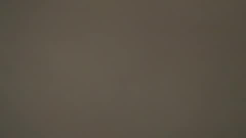 hellohowareyou66 online show from 03-31-26, 06:19