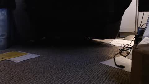 Snapshot of henryjxxx chatting on 01-12-25, 04:18 henryjxxx online show from 01-12-25, 04:18