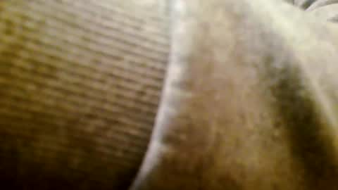 mr D online show from 11-25-25, 05:24