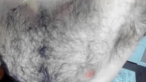 Wade Biggs online show from 01-25-25, 02:15