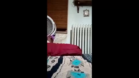 heythatguy2589 online show from 03-21-26, 09:36