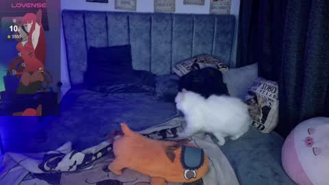 Inori Independent model online show from 04-04-26, 06:44