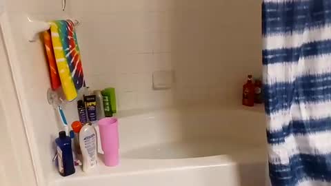 Snapshot of hippydippychick chatting on 11-13-25, 07:18 hippydippychick online show from 11-13-25, 07:18