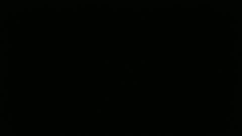 hofnung online show from 04-02-26, 01:09