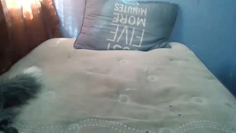 Snapshot of honeybut72uwu chatting on 09-19-25, 09:59 Honeybut72 online show from 09-19-25, 09:59