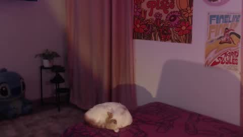 Snapshot of honeyypeaach chatting on 12-11-24, 12:12 online show from 12-11-24, 12:12