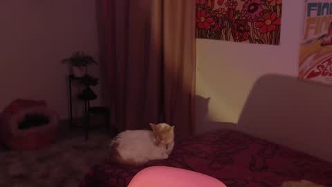 Snapshot of honeyypeaach chatting on 12-18-24, 11:30 online show from 12-18-24, 11:30