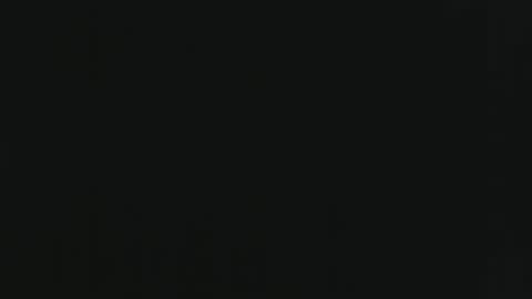 Snapshot of hooper37 chatting on 11-04-25, 10:31 Hooper39 online show from 11-04-25, 10:31