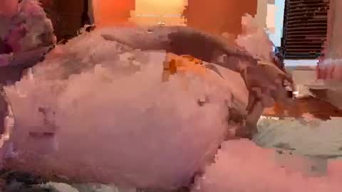 Snapshot of horndawglove chatting on 01-06-25, 07:56 horndawglove online show from 01-06-25, 07:56