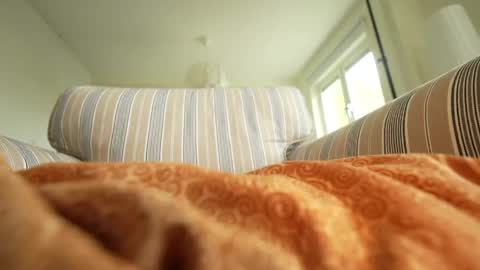 Snapshot of horny_edgucated chatting on 05-03-26, 01:17 horny_edgucated online show from 05-03-26, 01:17