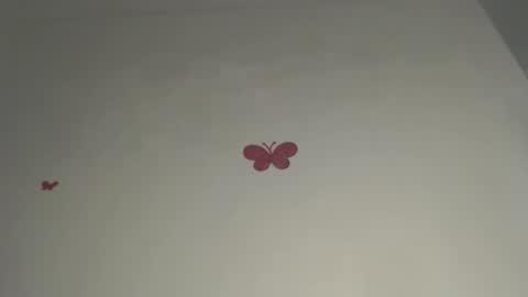 Iris online show from 03-03-26, 09:31