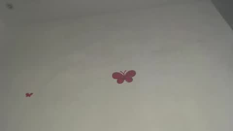 Iris online show from 03-09-26, 08:02