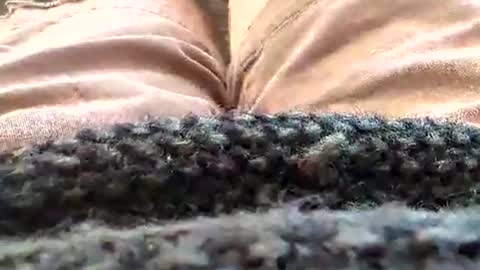 Tiny cock online show from 01-18-26, 02:43