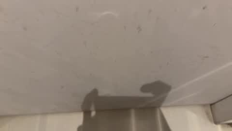 Snapshot of hornybear420420420 chatting on 03-02-26, 09:16 hornybear420420420 online show from 03-02-26, 09:16