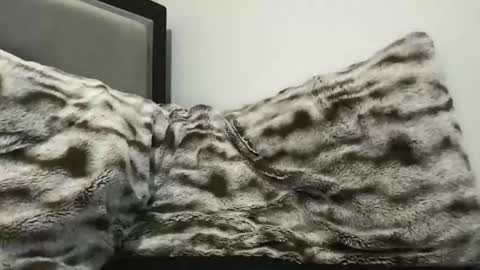 Snapshot of hornycumsh0t chatting on 11-03-25, 01:40 cumsh0tking online show from 11-03-25, 01:40