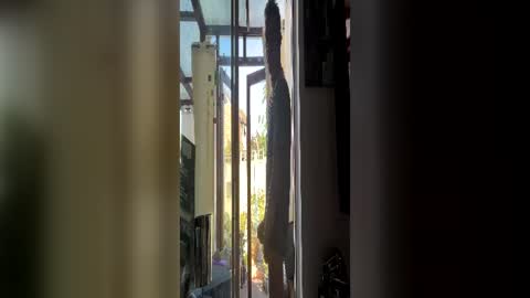 Snapshot of hornylondo chatting on 07-06-26, 04:42 Hornylondon online show from 07-06-26, 04:42