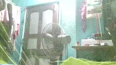 hornylucifer8 online show from 12-03-24, 10:29