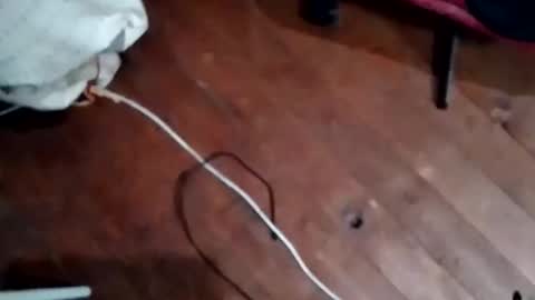 hornypaul84 online show from 11-05-25, 07:47