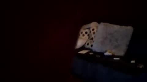 hornypaul84 online show from 01-07-26, 01:19