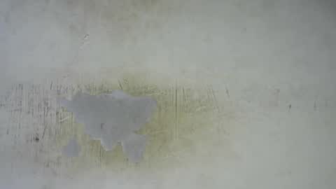 Bella online show from 02-25-26, 11:58