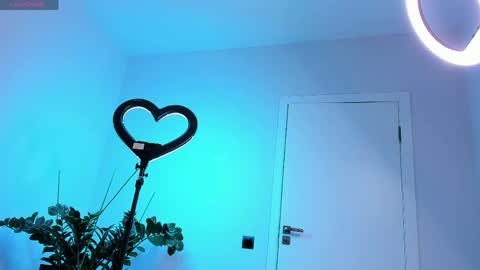 Snapshot of hornyyorck chatting on 05-28-26, 04:21 Robert online show from 05-28-26, 04:21