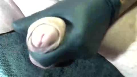 horse_dick9 online show from 09-11-25, 11:43