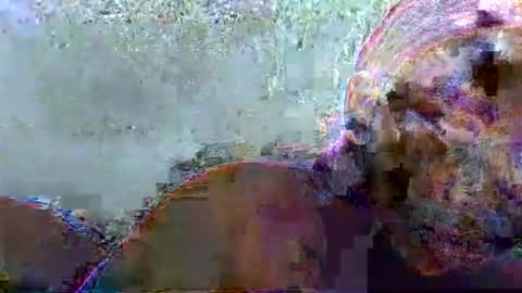 Snapshot of hotagrace chatting on 02-14-26, 07:16 hotagrace online show from 02-14-26, 07:16