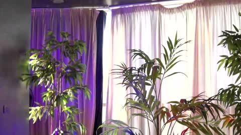 Anais online show from 09-21-25, 06:15