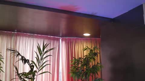 Anais online show from 02-15-26, 10:03