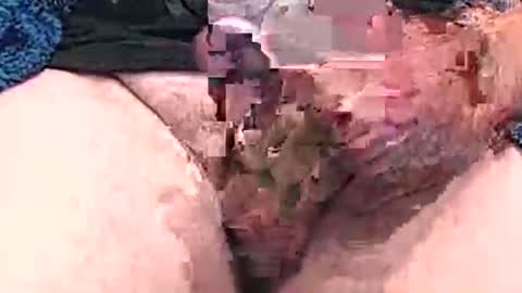 Snapshot of hotcam96 chatting on 12-15-24, 03:31 hotcam96 online show from 12-15-24, 03:31