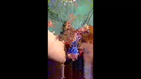Snapshot of hotcockyspunkers chatting on 05-19-26, 10:43 Hot spunkers and cream online show from 05-19-26, 10:43