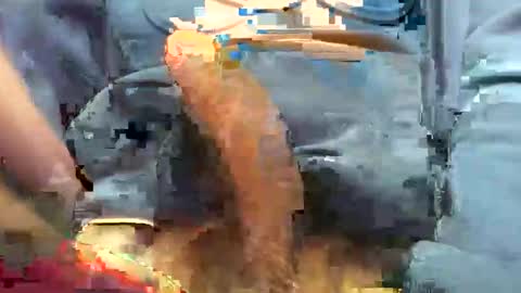 hotdick4200 online show from 11-19-25, 06:24