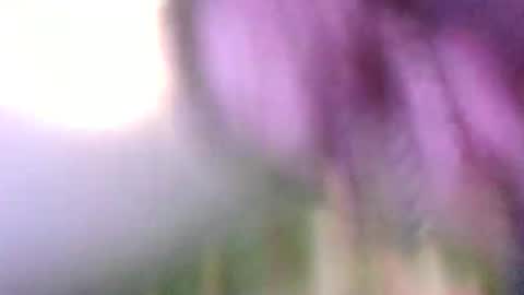 Snapshot of hothd48 chatting on 01-01-25, 04:50 steve auston online show from 01-01-25, 04:50