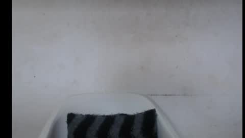 hotjessie0 online show from 10-07-25, 05:04