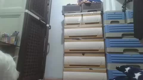 hotlavender online show from 12-17-25, 02:28