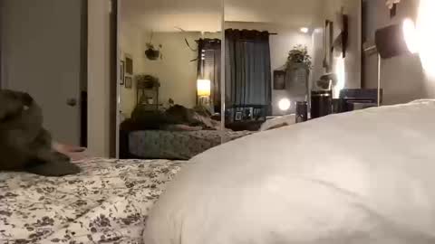 Annabelle online show from 10-14-25, 12:00