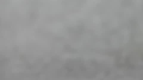 Slutty little female cat online show from 09-14-25, 04:44