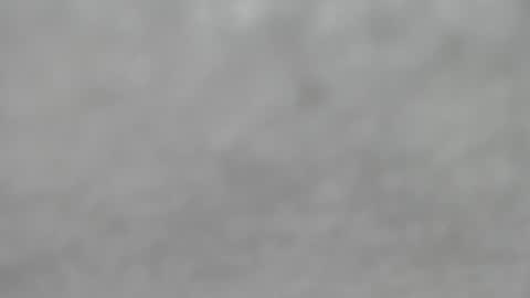 Slutty little female cat online show from 10-12-25, 04:33