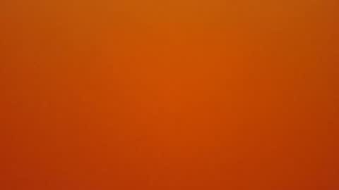 hundeleine online show from 02-16-26, 10:44