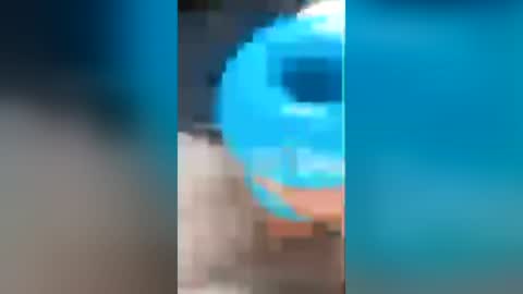 Snapshot of hung_stallion94 chatting on 07-02-26, 02:45 hung_stallion94 online show from 07-02-26, 02:45