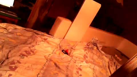 Snapshot of hungryanalslut chatting on 02-18-25, 10:58 hungryanalslut online show from 02-18-25, 10:58