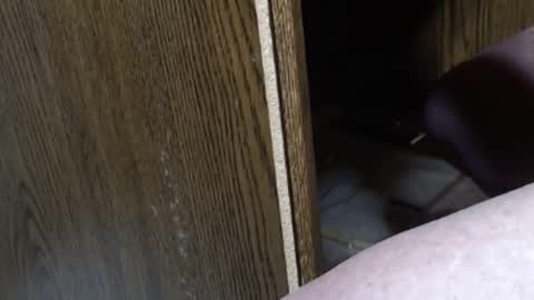 hungsofine online show from 02-07-25, 09:58