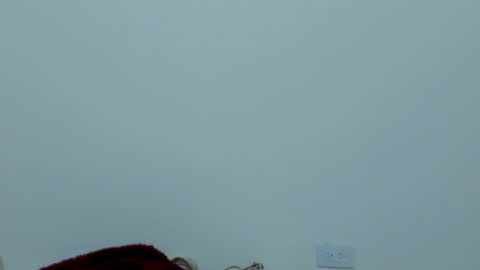 Snapshot of iamevaaa chatting on 02-21-25, 01:55 Eva online show from 02-21-25, 01:55
