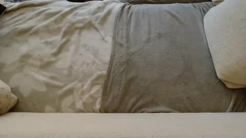 SnowTiger online show from 01-24-25, 11:04