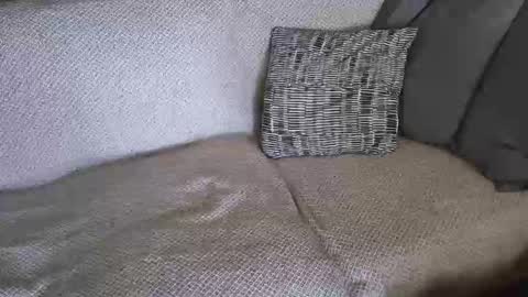 SnowTiger online show from 02-19-26, 11:17