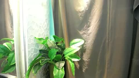 Heart online show from 02-03-26, 06:35