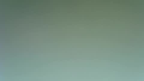 Snapshot of idkwhattowatch chatting on 12-23-24, 09:08 idkwhattowatch online show from 12-23-24, 09:08